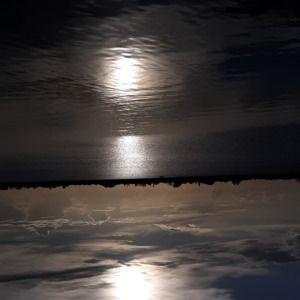 Meet your Posher, Theresa